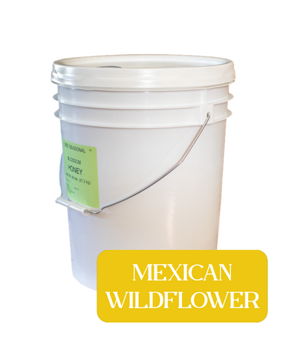 Mexican Wildflower Honey - 60lbs.