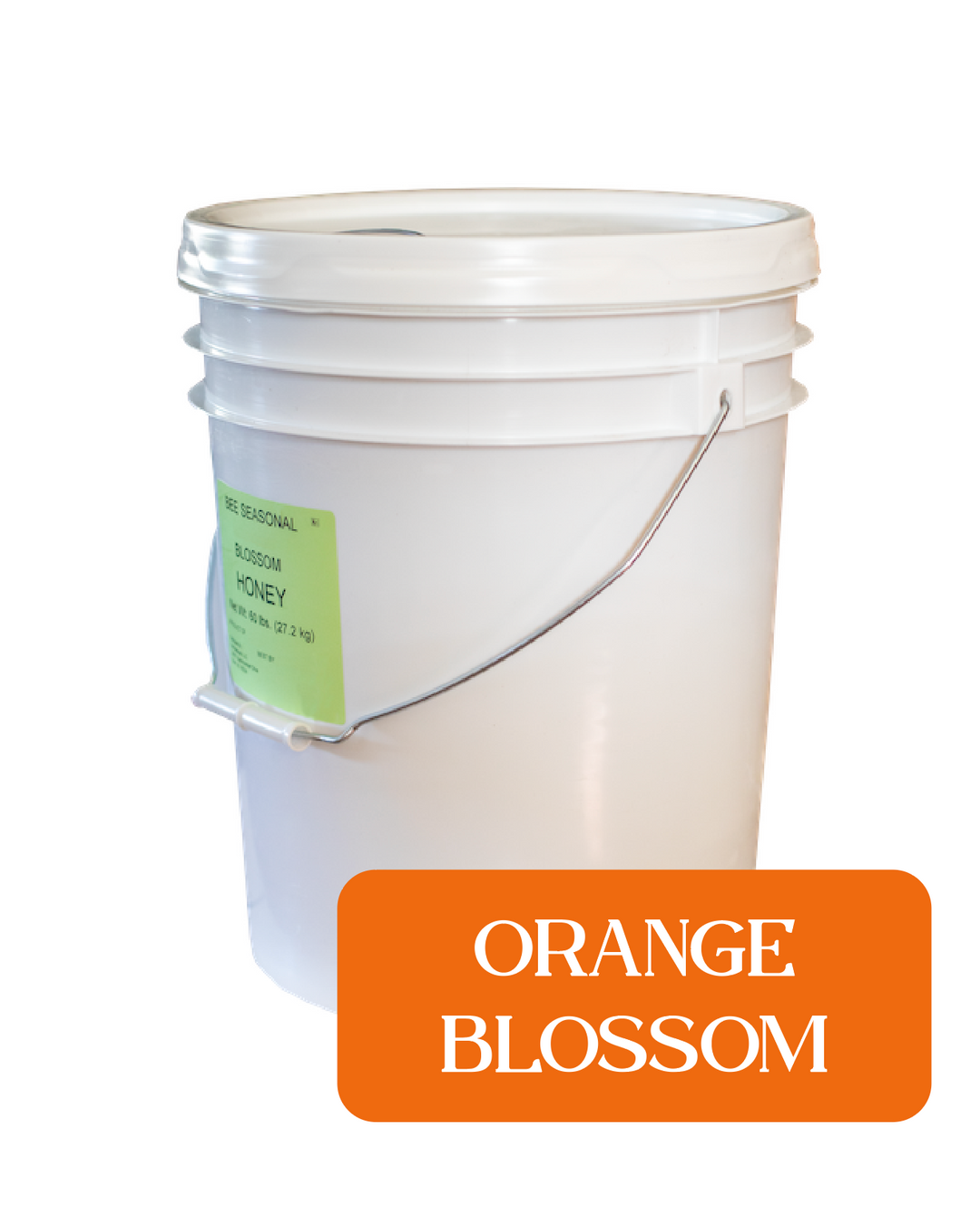 Orange Blossom Honey - 60lbs. – Bee Seasonal