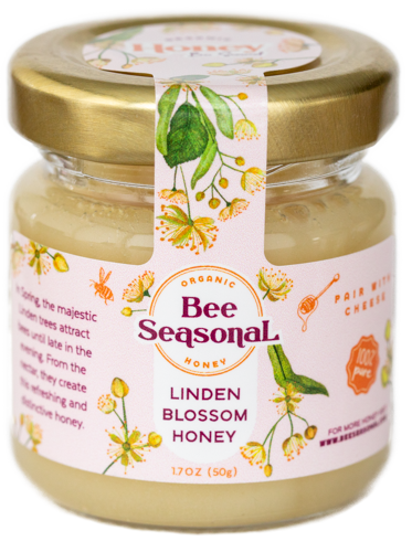 Linden Blossom Honey - 20 Jars